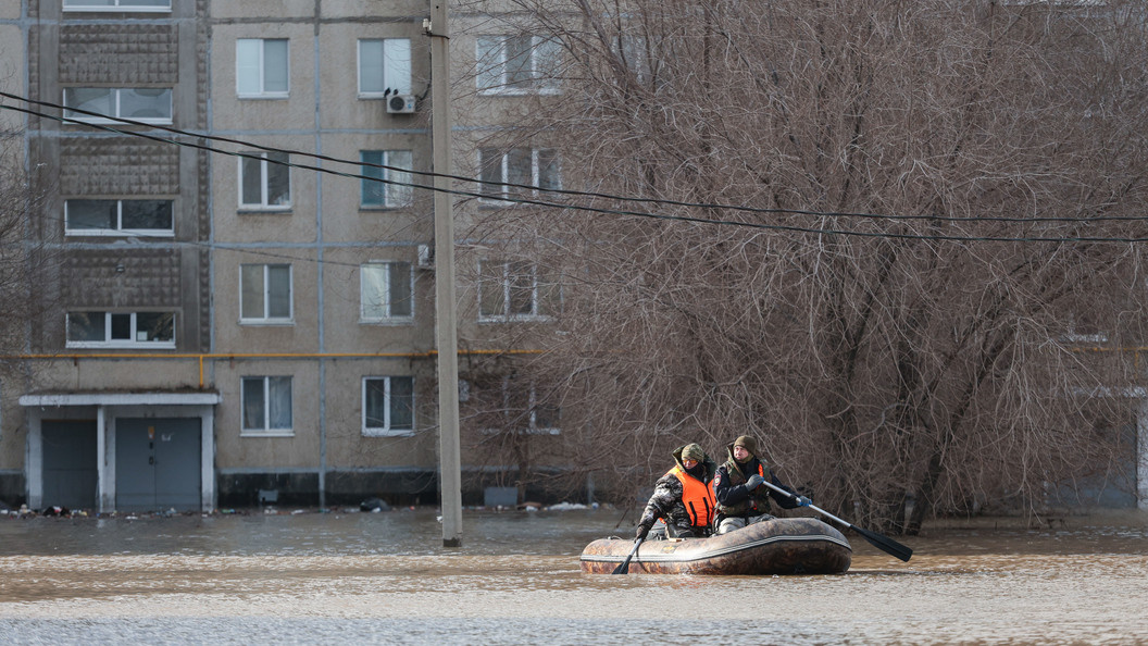    Фото: Andrey Titov/Business Online/Globallookpress