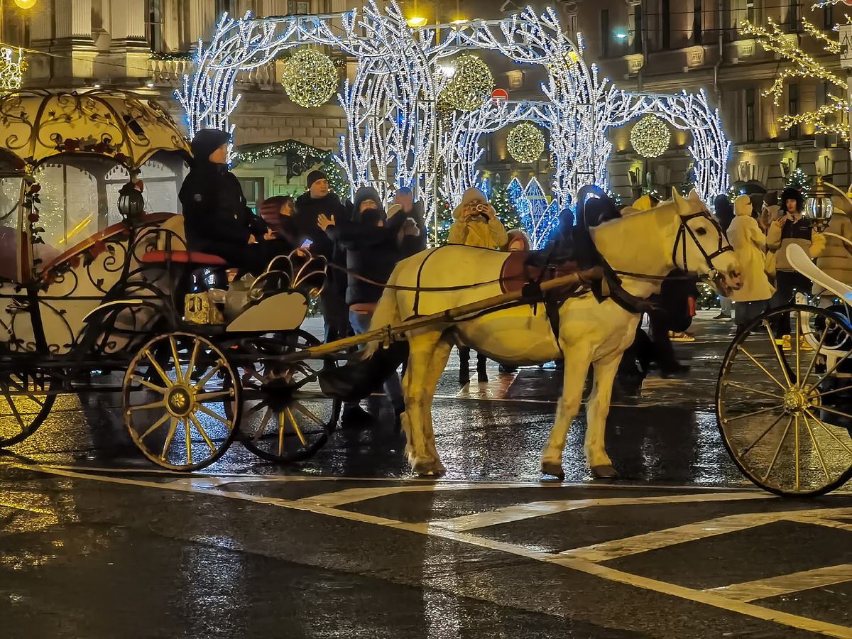 Фото: Петербургские маДАМЫ 
