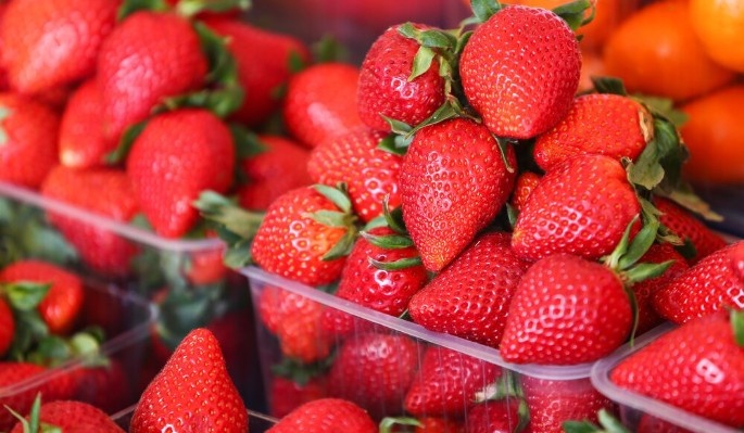    Фото: dni.ru Георгий