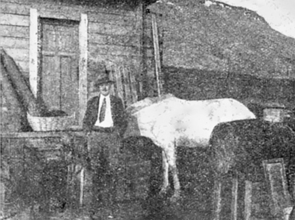Начальник Земли Франца-Иосифа И.М. Иванов у продовольственного склада. 30-е годы. В годы войны был направлен на Урал, где всю войну он и его товарищи добывали цирконий для самолетостроения
