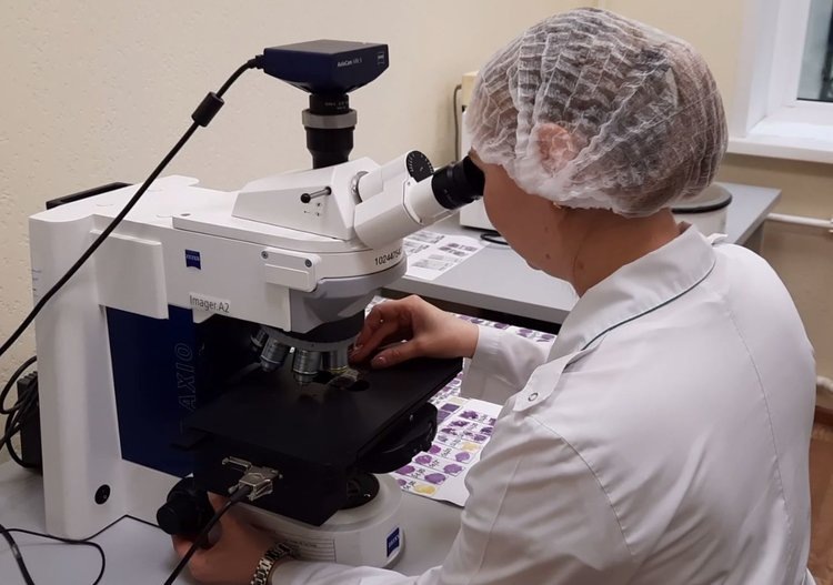    Сосиски с мукой обнаружили саратовские эксперты