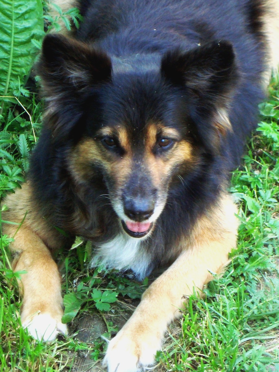 Чуник уже взрослый