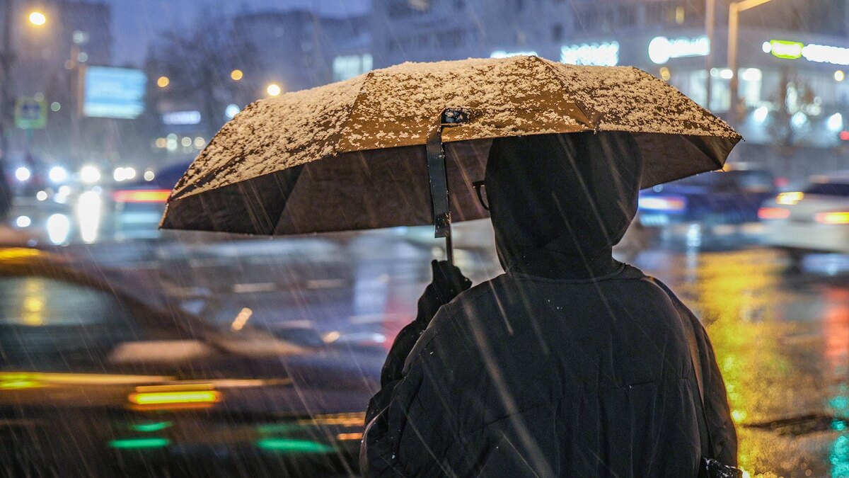    Фото: Andrey Titov/globallookpress.com