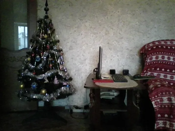 Елка любовательная