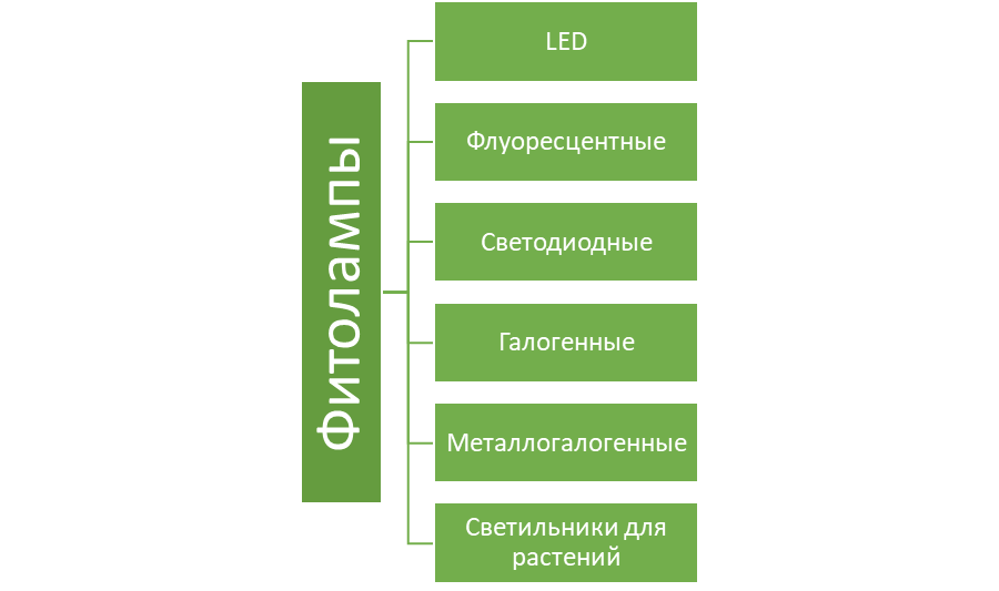 Виды фитоламп