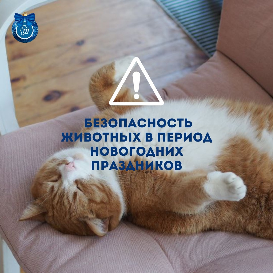 ИА "Тюменская линия"