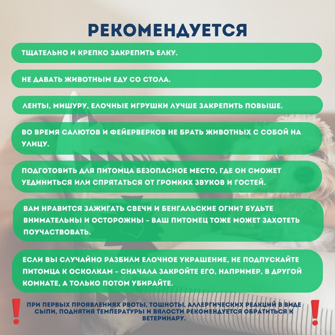 ИА "Тюменская линия"