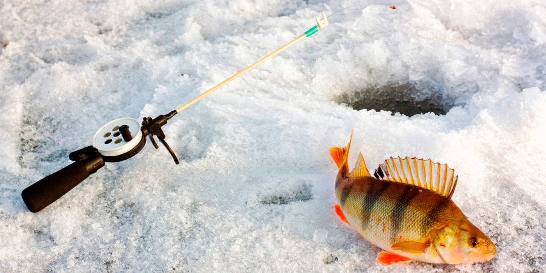 Ловись рыбка: применяем обычные инструменты из мастерской для зимней рыбалки