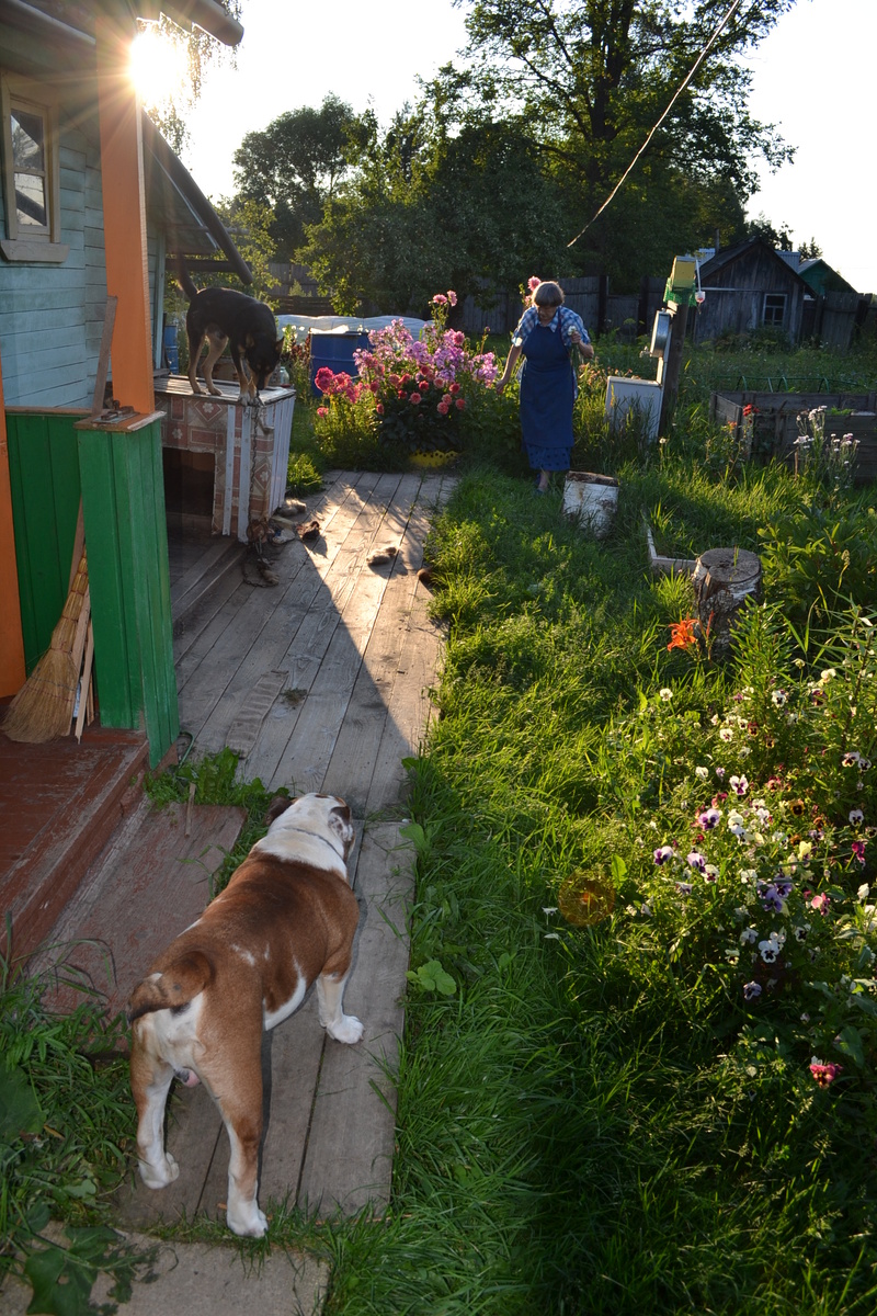 Старшего - Чуника - уже нет, а с Клокастым бульдог почему-то не спарринговал