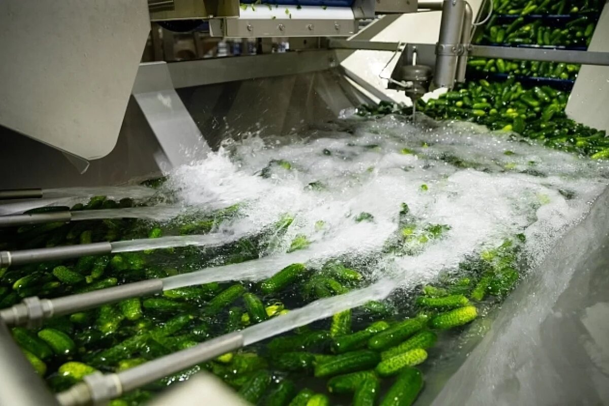    Больше 120 инвестпроектов на 2025 год представили волгоградские аграрии