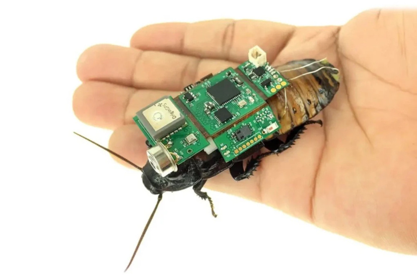 По мнению сингапурских ученых, роботы-гибриды насекомых и компьютера теперь могут выпускаться серийно. Фото: Hirotaka Sato group