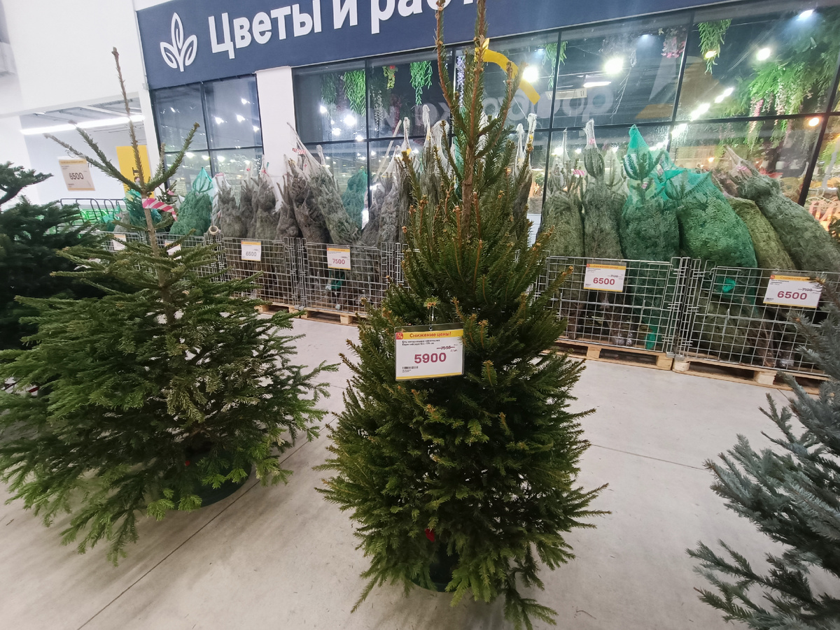 Я была в Лемана Про на ЗИЛе в Москве