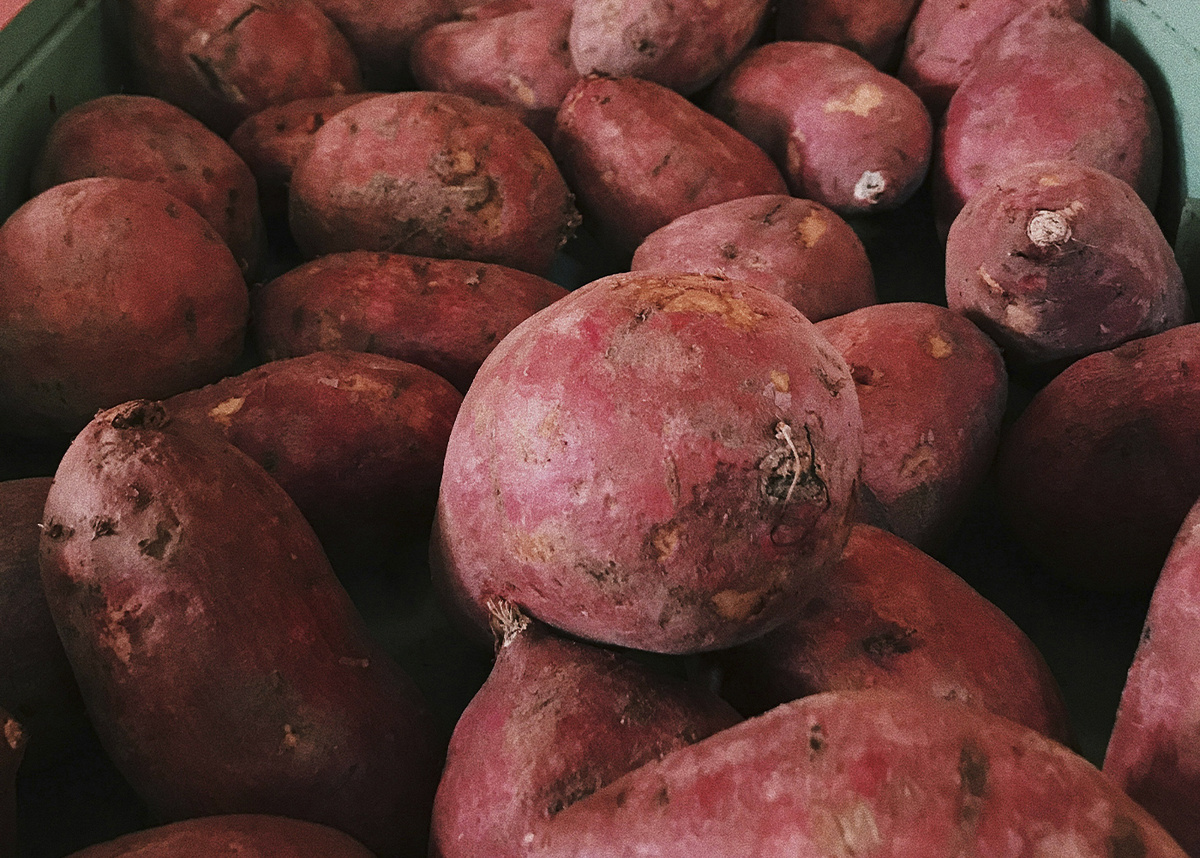 Фото / Juno Jo / unsplash.com