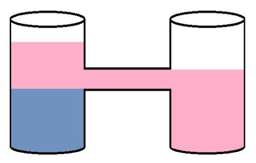 Наглядная аналогия, объясняющая, почему излишек белка не используется полностью.