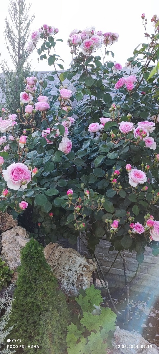 Джеймс Галвей