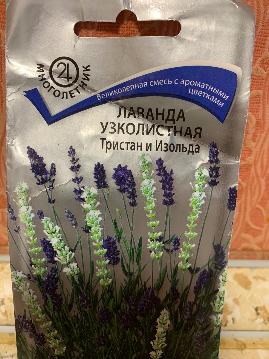 семена, все фото автора