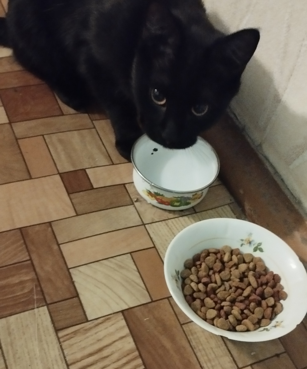 Попил воды и смотрит)