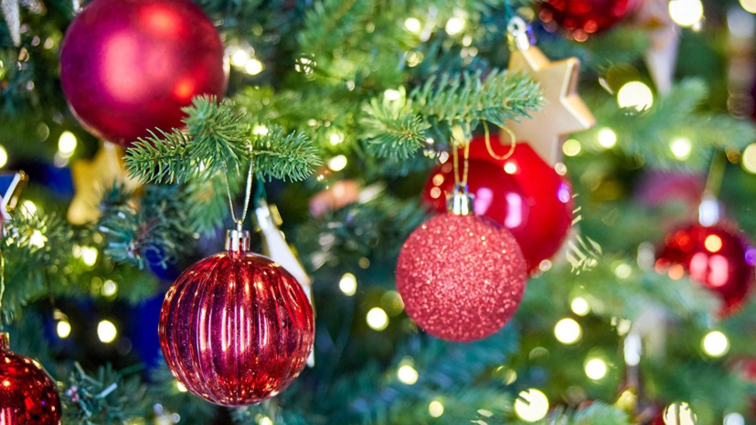    Фото М. Денисова. Mos.ru