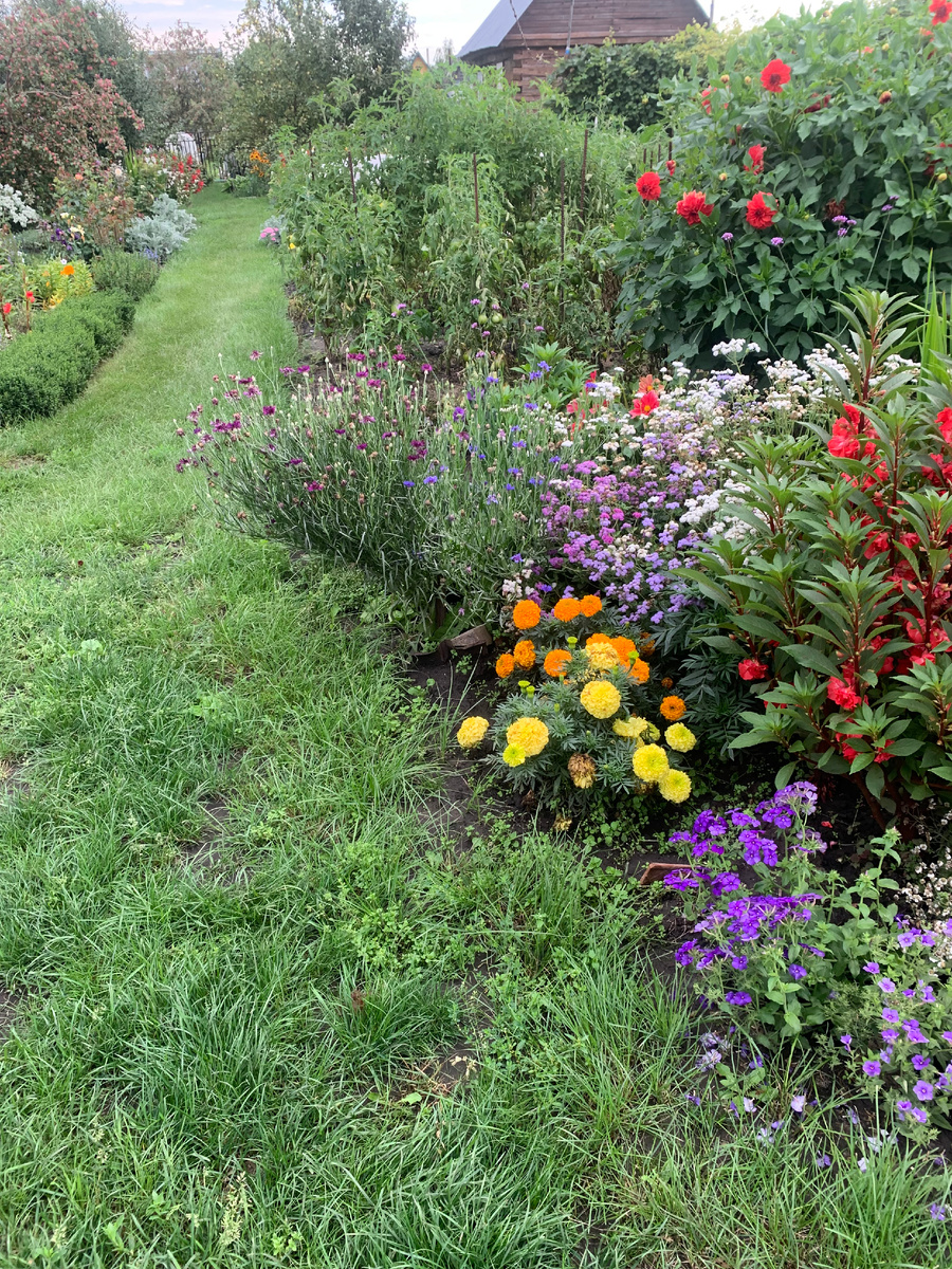 17.08.24. все фото автора