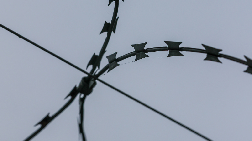    Фото: Belkin Alexey/ Global Look Press