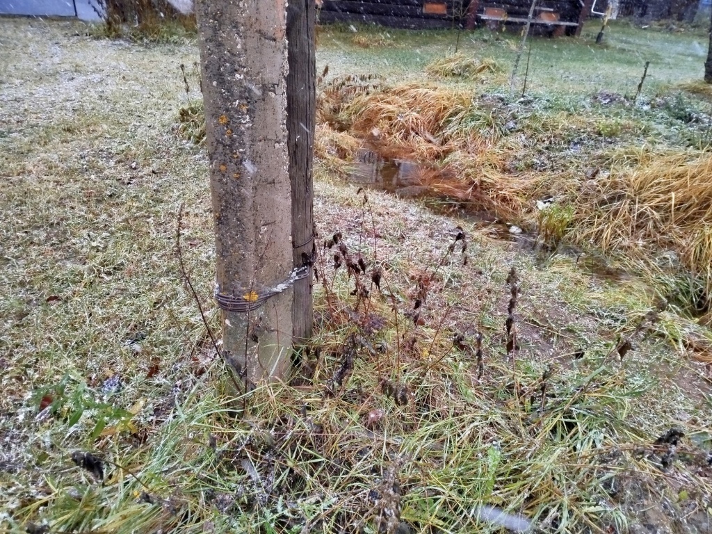  Столб освещения не украшает участок