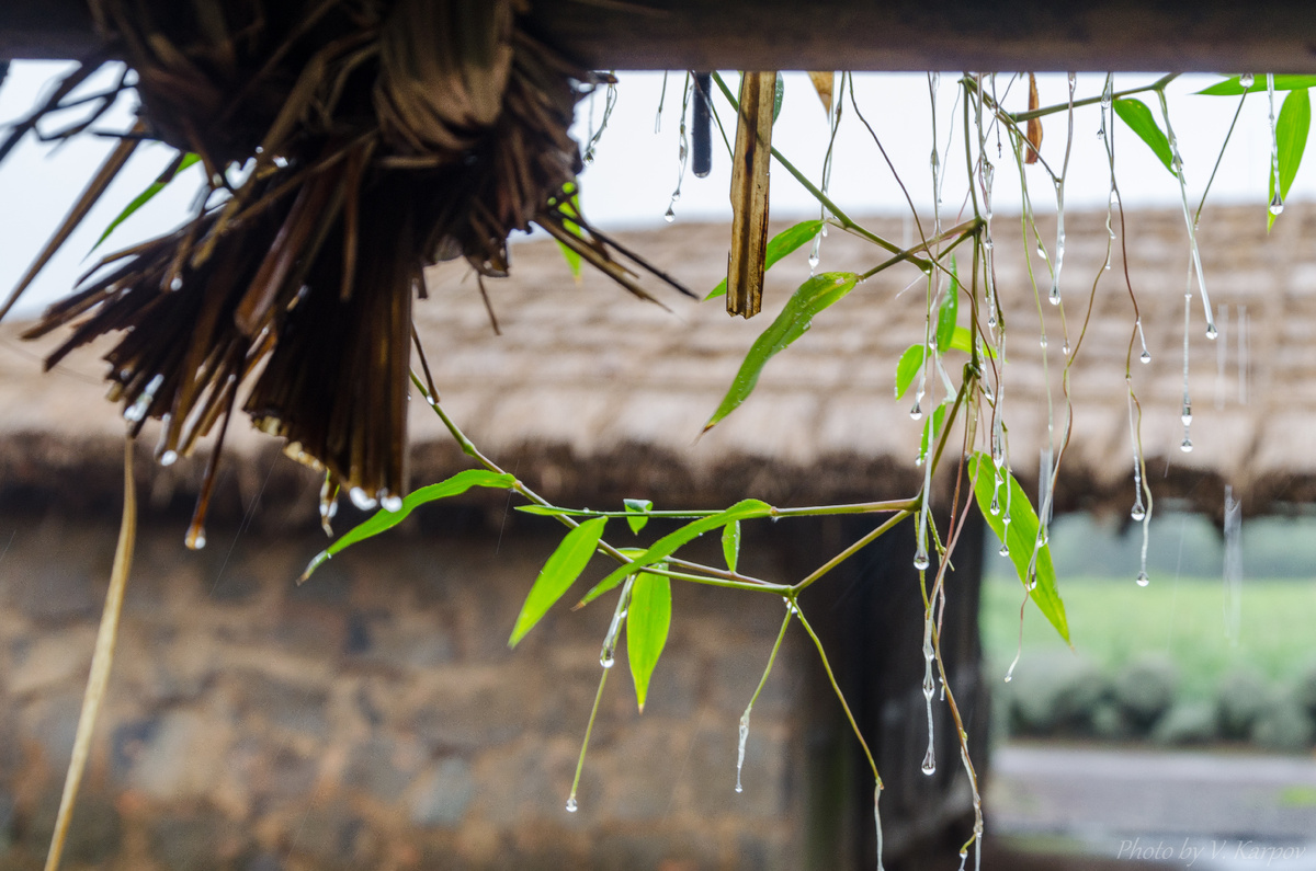 Дождь, снова дождь.