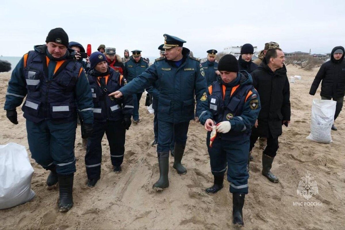 Александр Куренков осматривает место трагедии. пресс-служба МЧС