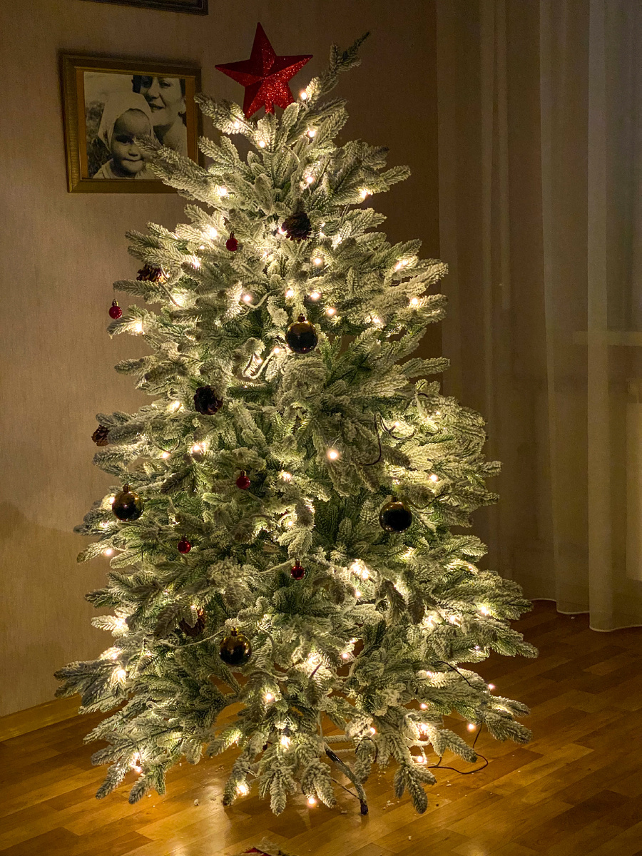 елка автора