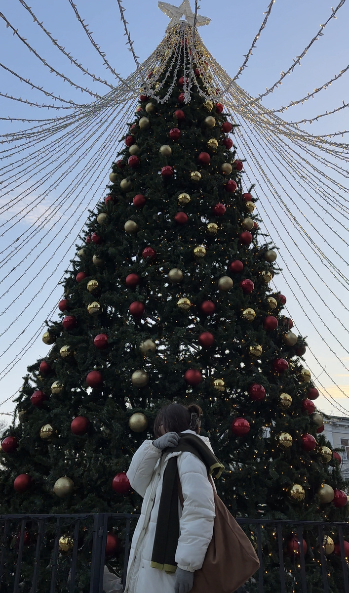 Ёлка в Зеленоградске