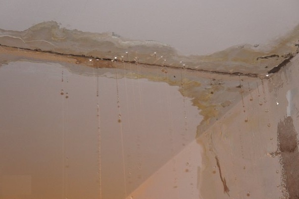 Взято из открытых источников.