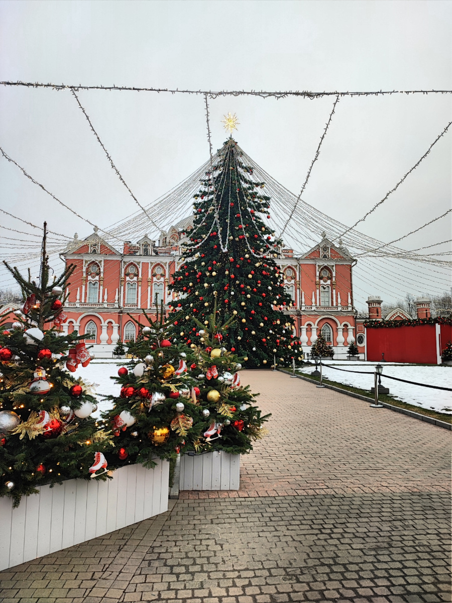 Ёлка перед дворцом