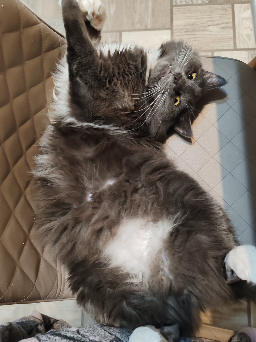 Фото автора канала. 