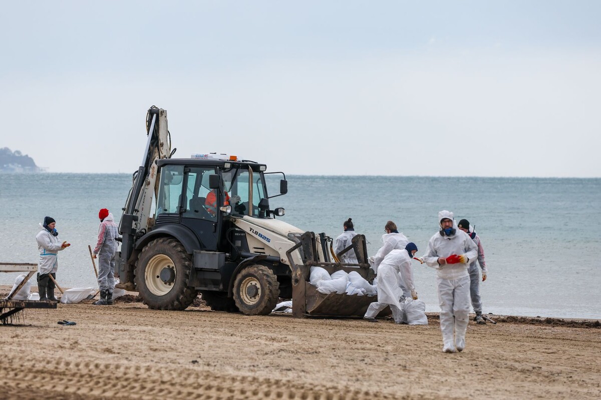     / Источник: © Belkin Alexey/Global Look Press