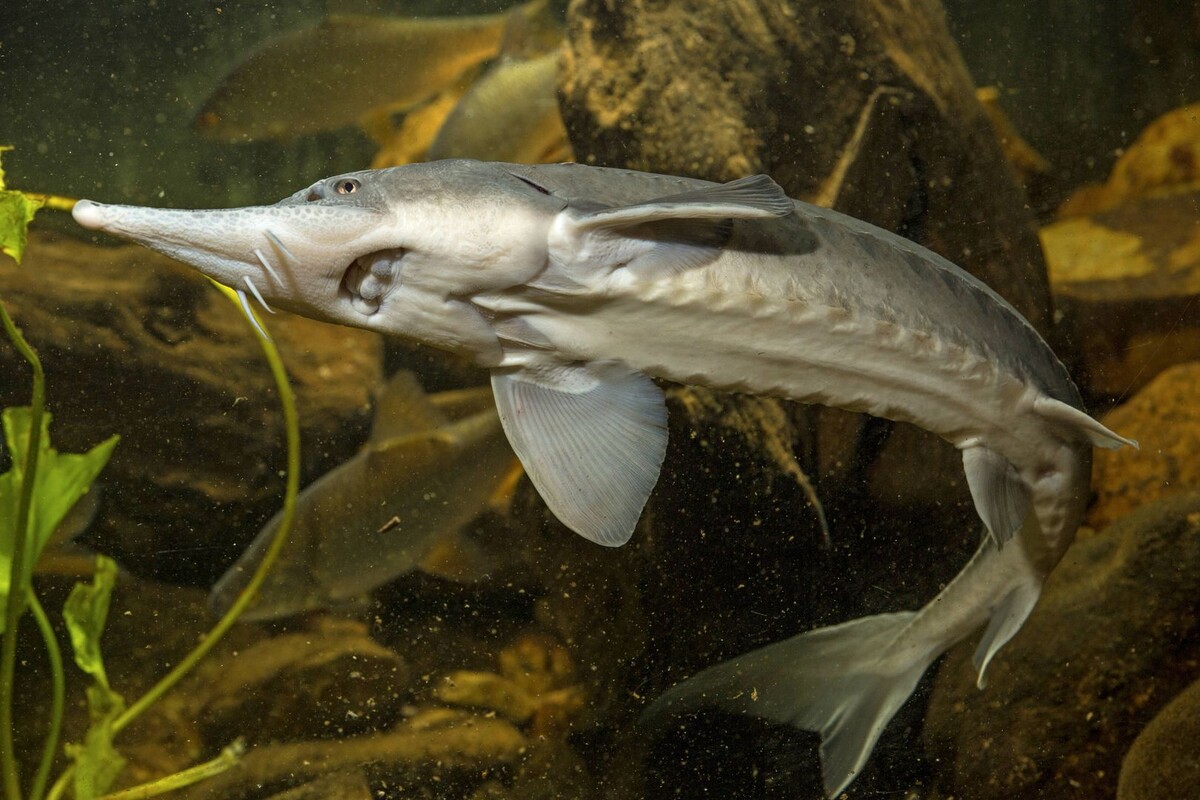     / Источник: © A. Hartl/Global Look Press