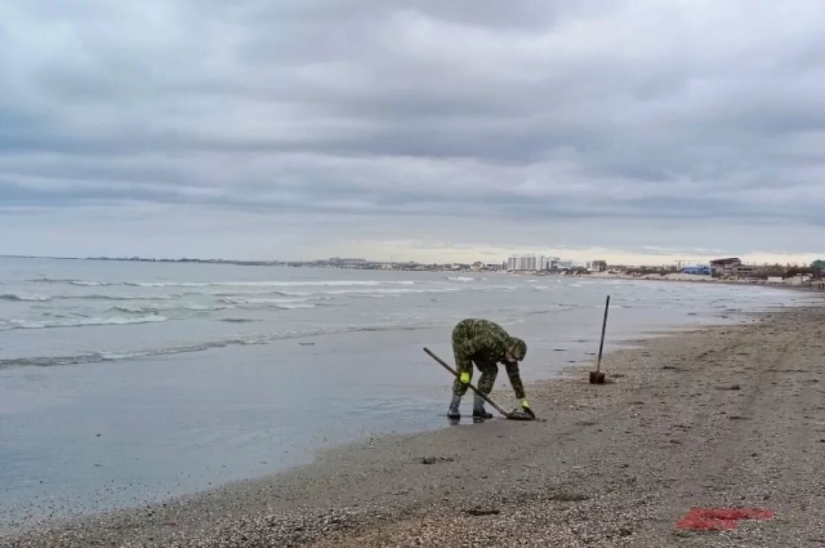    Мазутные берега.