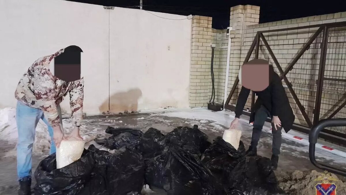     Источник: ГУ МВД по Волгоградской области