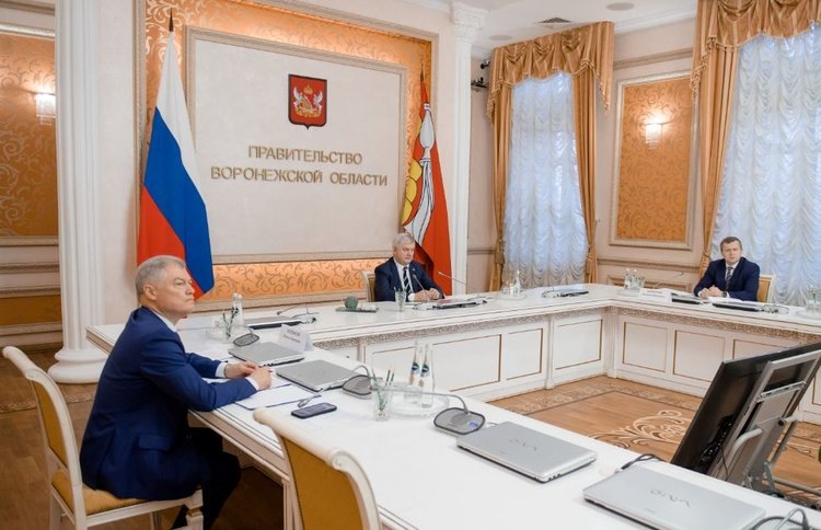    В 2025 году общая посевная площадь в Воронежской области превысит 2,6 млн га