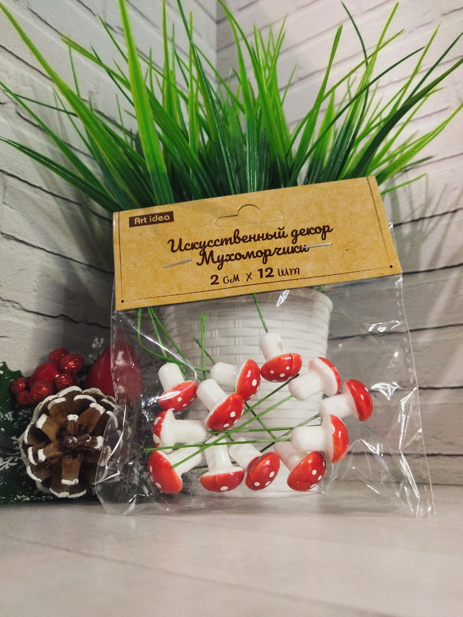 Мухоморы из Читай-города