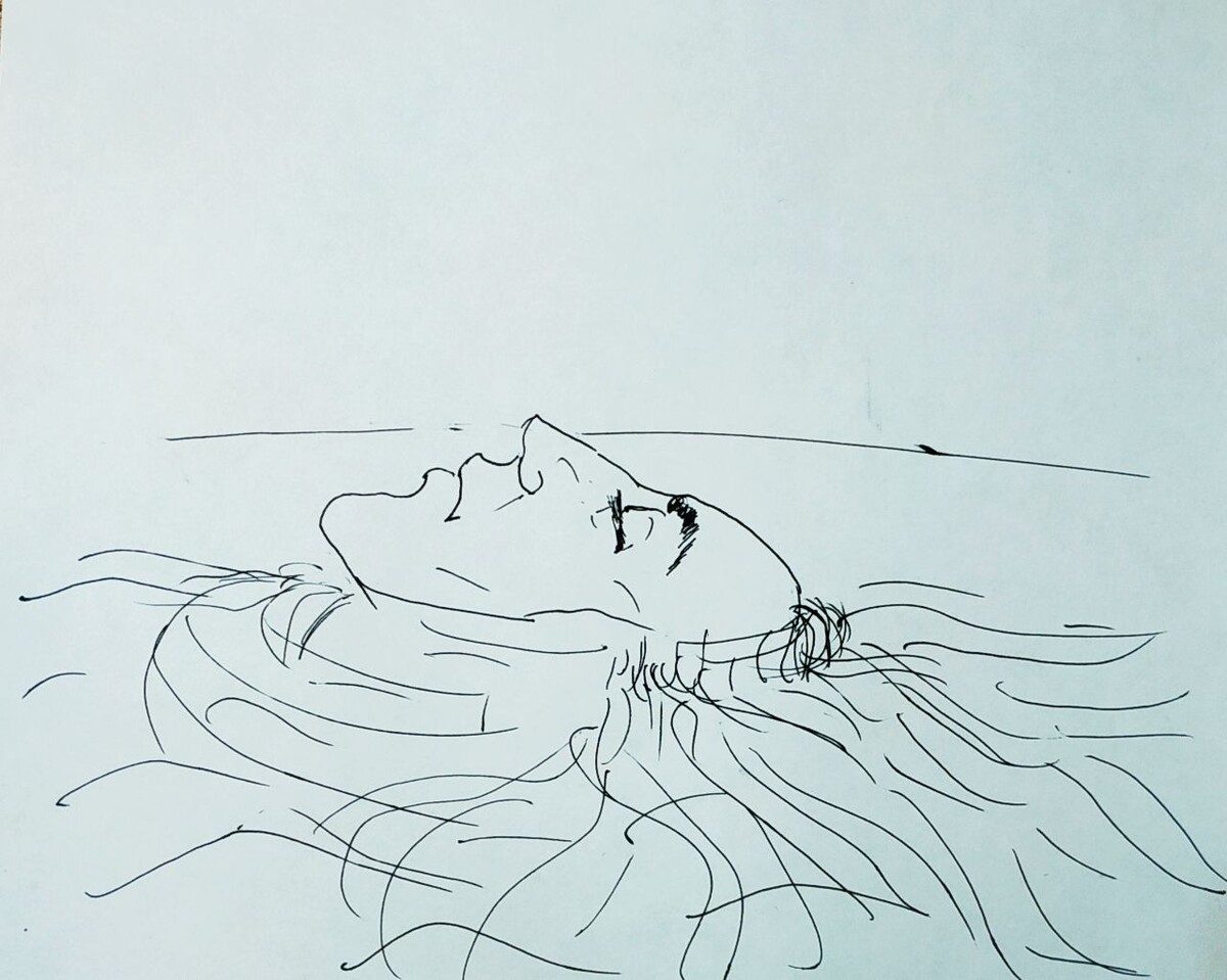 Вот так позже капитан Адам по памяти изобразил Синее Лицо.в своей тетради. Но Капитан Лоу заявил, что Лицо было намного моложе и черты его были совсем другие. Но ведь он сам запретил Адаму рассматривать Лицо.