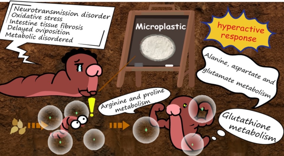   Yuanyuan Zhao et al. / Environmental Science & Technology, 2025