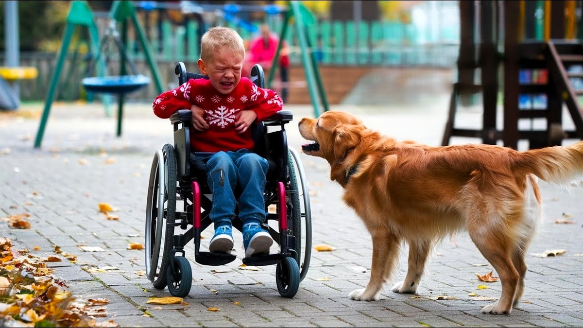 Друзья рядом душа кайфуй супер сус. Песня лай лай лай лай. Друзья рядом душа кайфуй супер сус. Azeri bass music 2022. Лай лай.