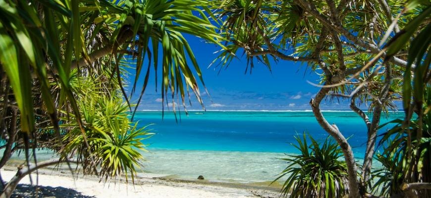 Photo by Slobodan Tomic on Unsplash