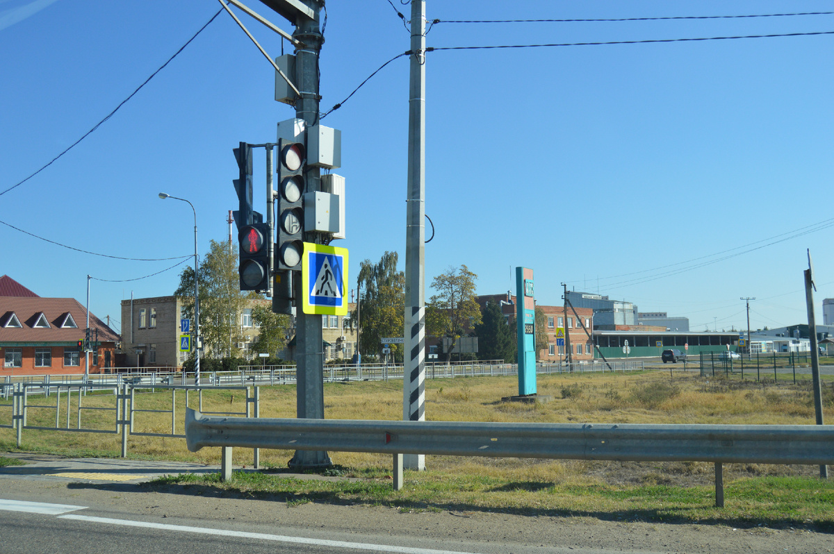 Фото автора. Осень 2023.  Стоп, красный свет!