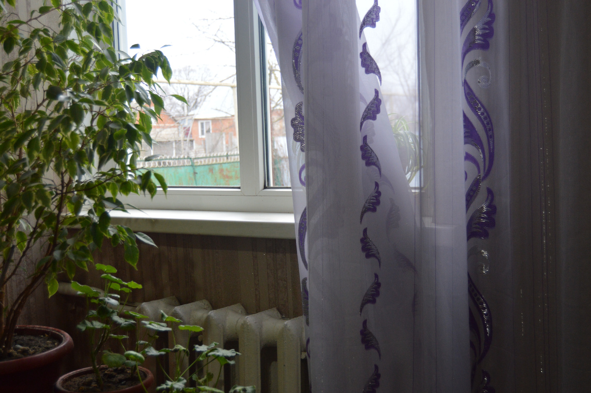 Фото автора. Декабрь 2024. Помните, тайное свегда становиться явным.