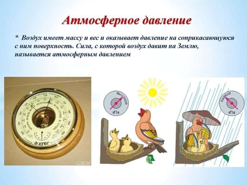 Взято из открытых источников