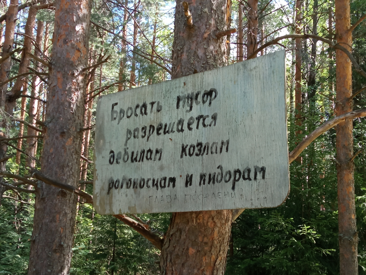 Табличка на дереве о запрете мусорить в лесу