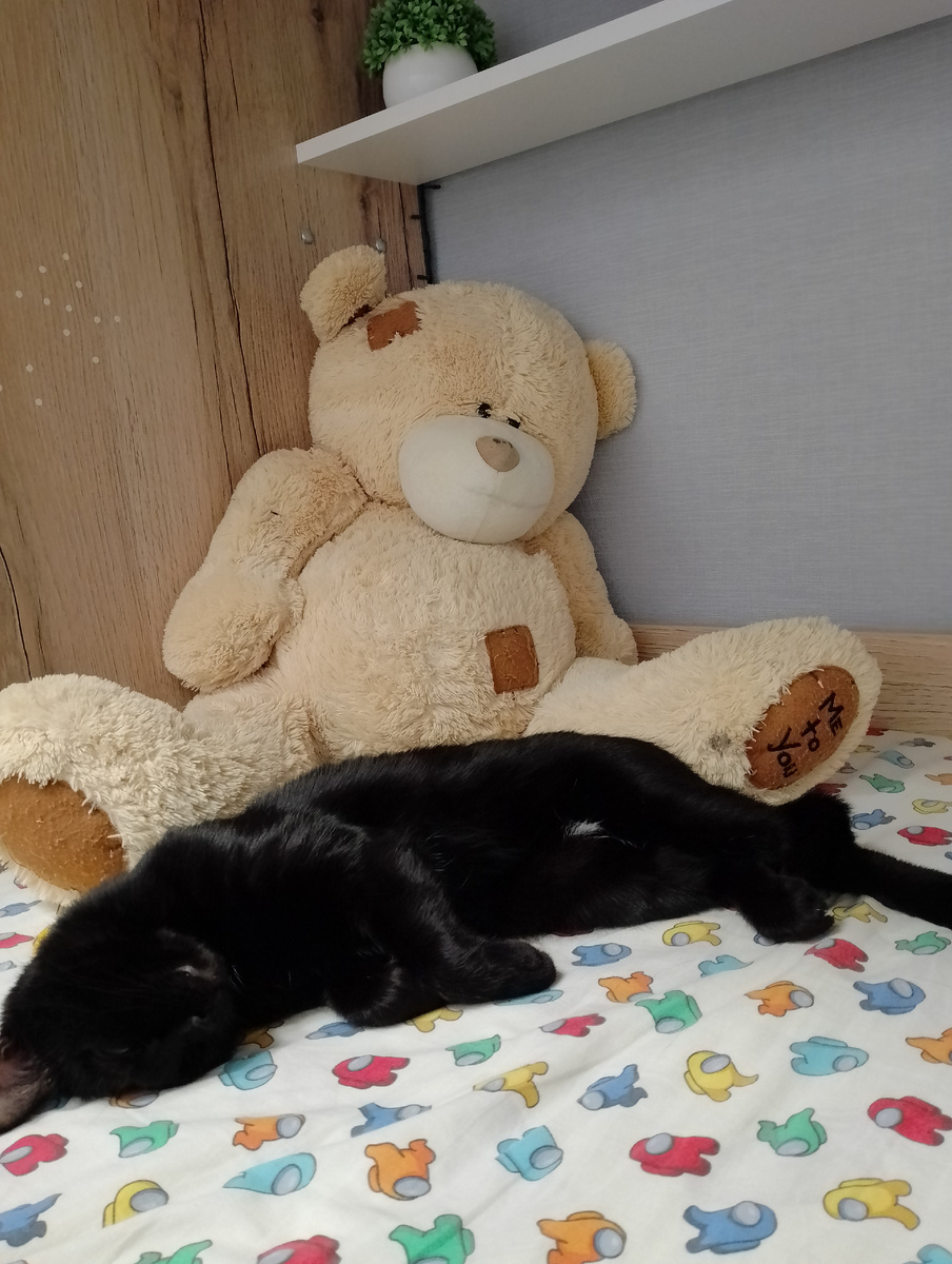 Масяня,спит как убитая.