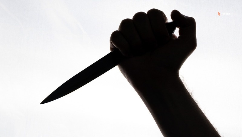      Фото: ИА «Победа26»