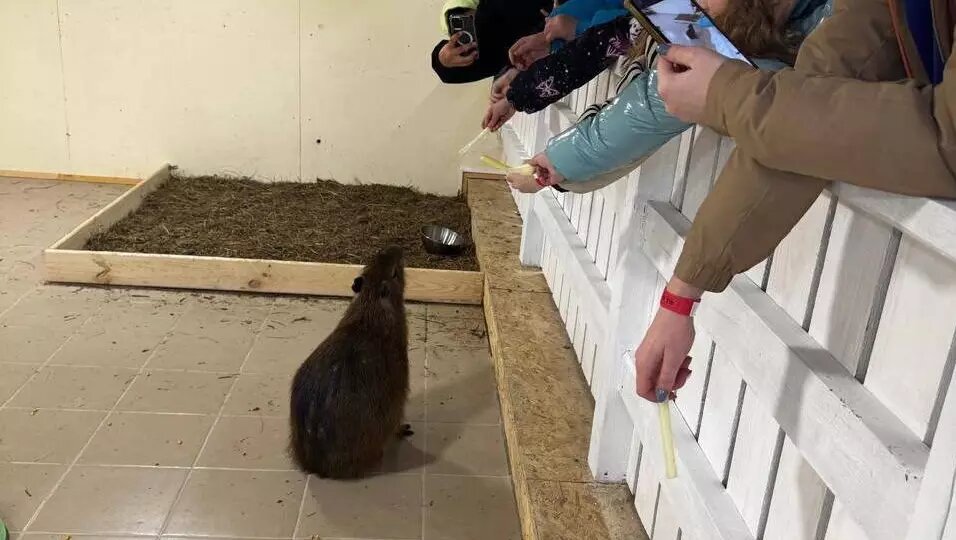     Автор: t.me/VVV5807