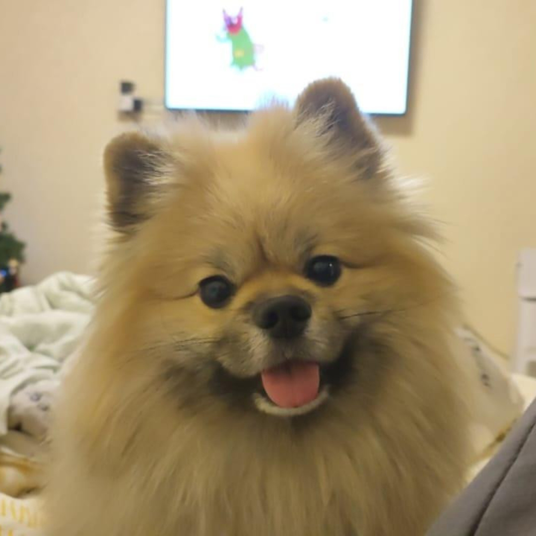 Третий ребенок :)